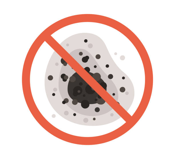 Best Emergency Mold Remediation  in Fletcher, NC