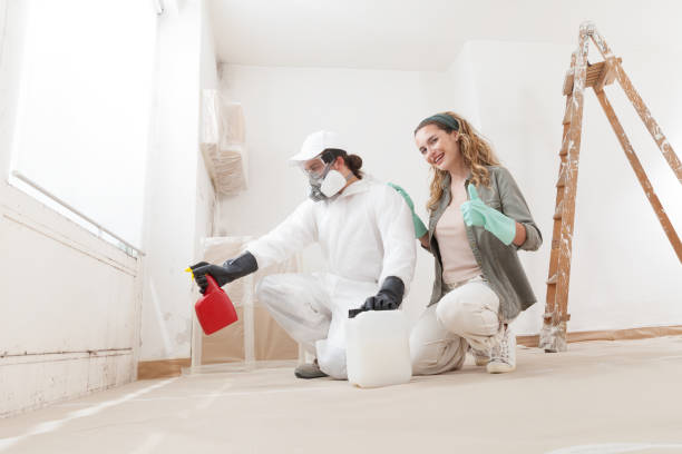 Best Mold Remediation for Healthcare Facilities  in Fletcher, NC